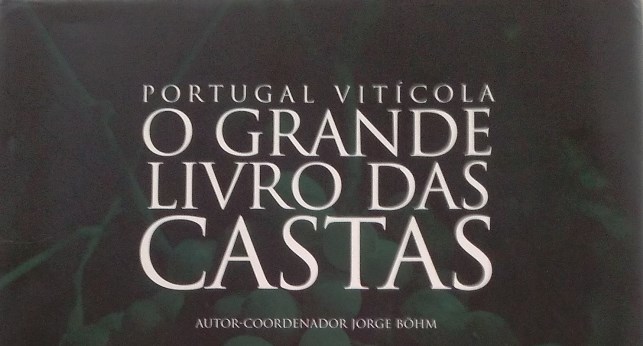 Newsletter n.º 43 - Foto 7